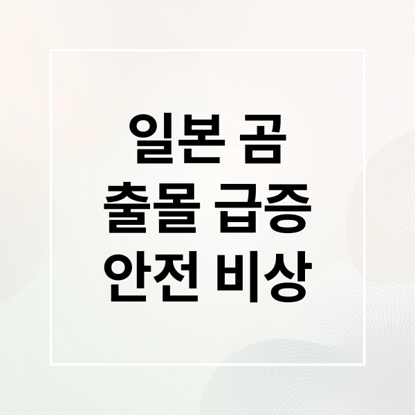 일본 곰 출몰 급증! 여행객 안전 비상🚨 원인, 대처법, 정부 대응 총정리 1