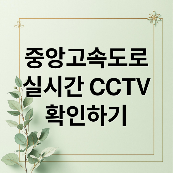 중앙고속도로 실시간 CCTV로 정체구간과 사고 확인하는 방법 8
