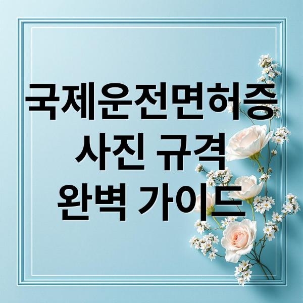 국제운전면허증 & 여권 사진 완벽 준비: 발급 절차부터 규격까지 1